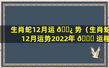 生肖蛇12月运 🌿 势（生肖蛇12月运势2022年 🕊 运程）